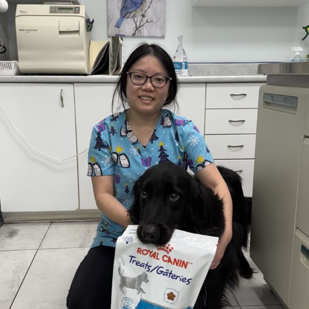 Ashley Quan - Animal Care Attendant