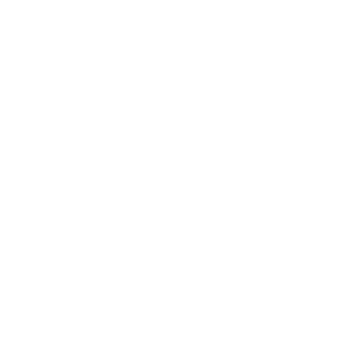 Assessment Icon