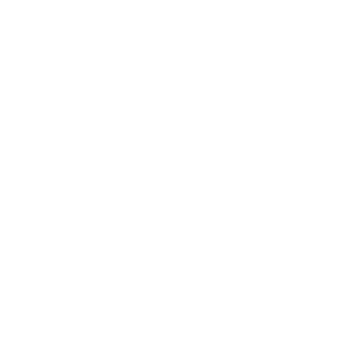 Care planning icon