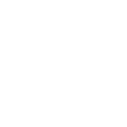 Clear Veterinary Guidance Icon