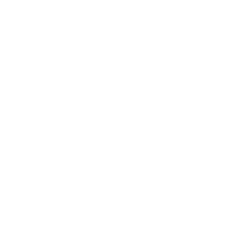 Diagnostics Icon