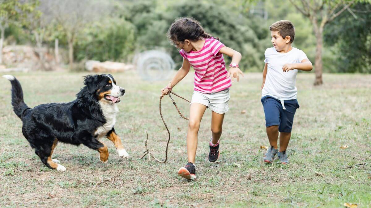 Dog playing with 2 children