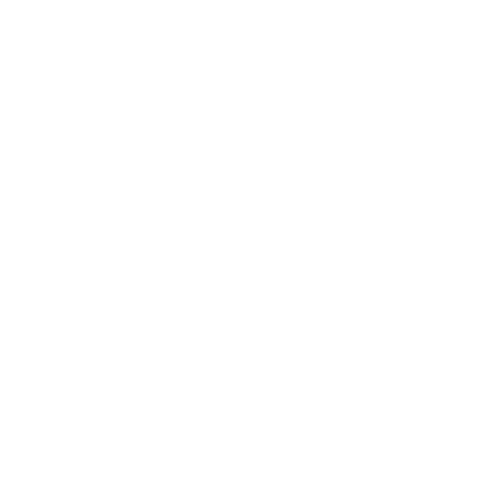Financing Support