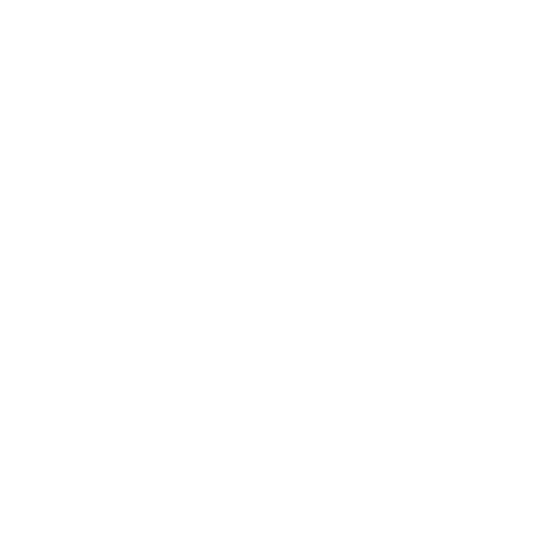 Guidance Icon