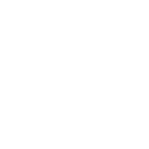 Orthopedic Care Icon
