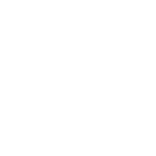 Pet Microchip Icon