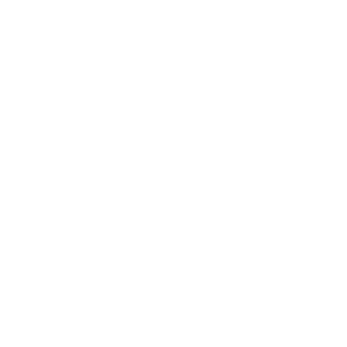 Pet Wellness Icon