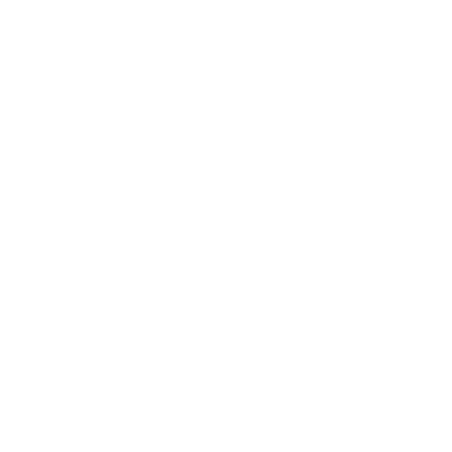 Pet insurance Icon