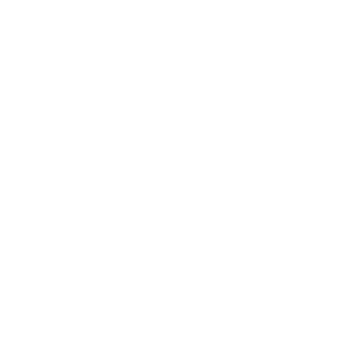 Preventive Care Icon