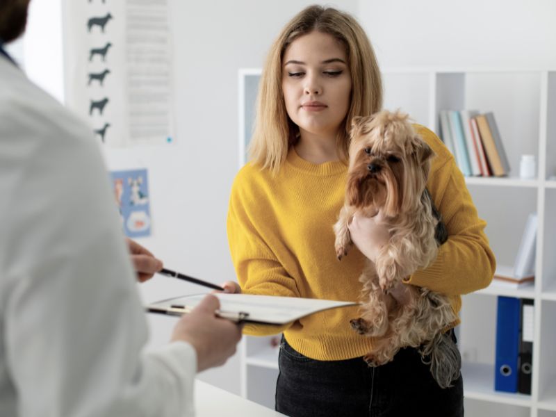 Woman holding a small dog while being handed paper work from veterinary staff