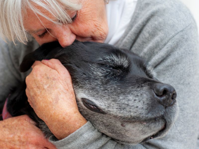 Woman hugging an older dog