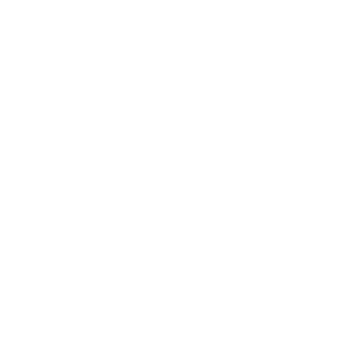 nutrition Icon