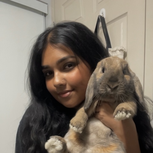 woman holding a lop-eared rabbit